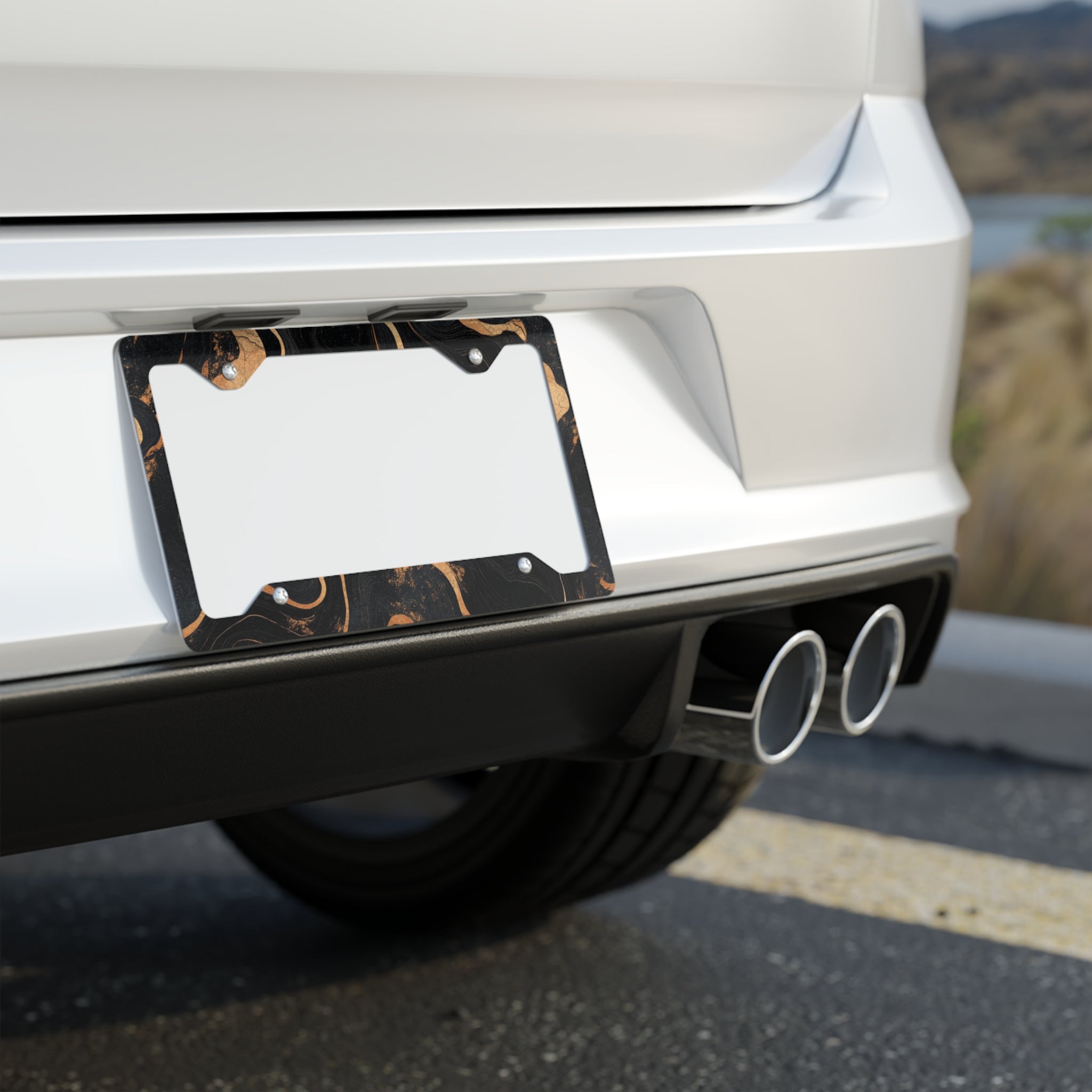 Stylish Metal License Plate Frame
