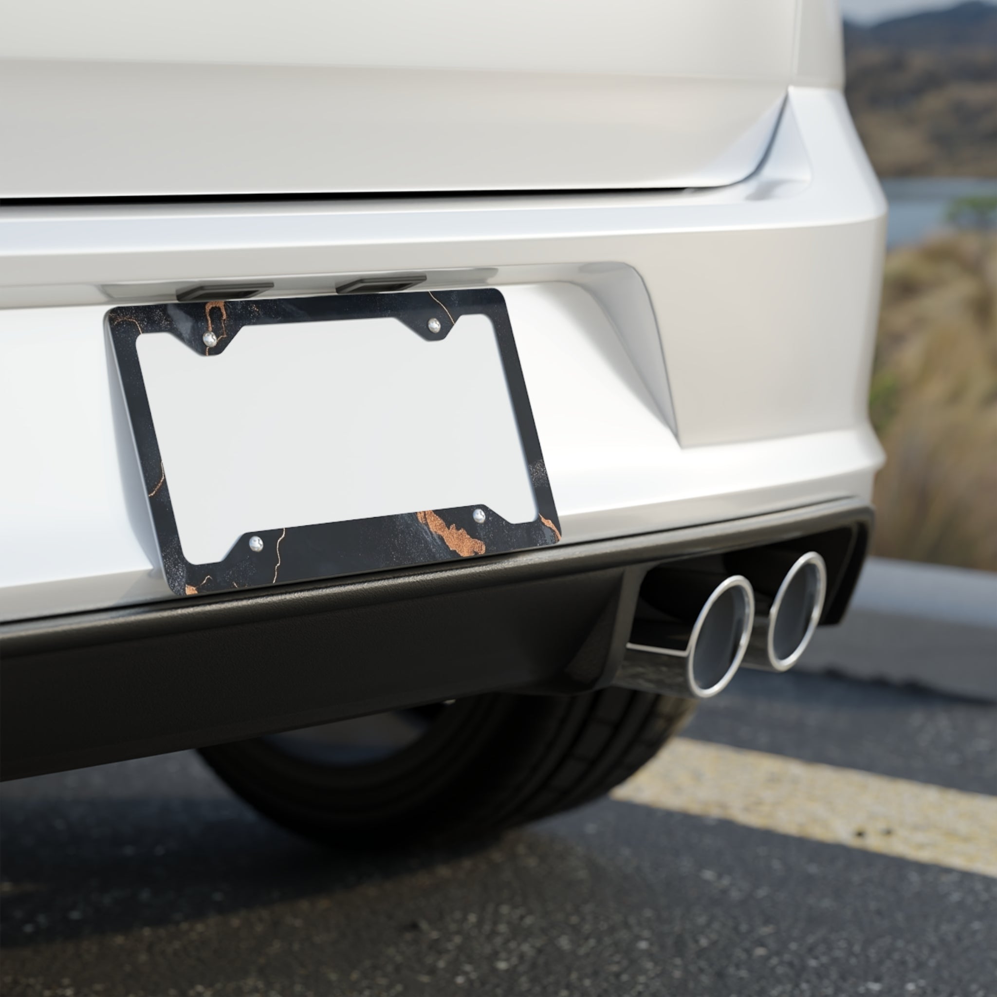Stylish Metal License Plate Frame